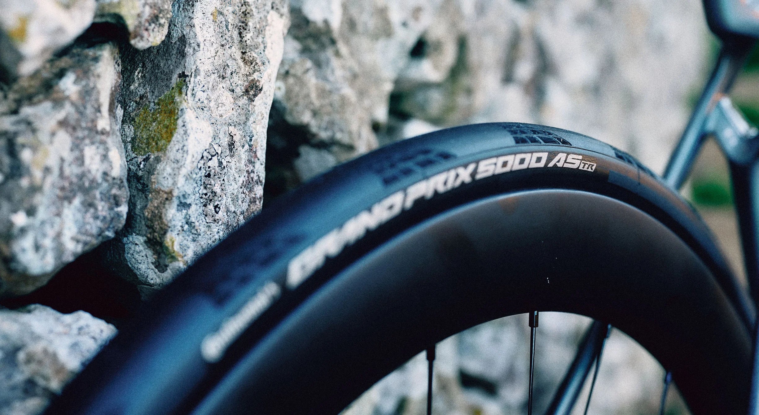Ride the Peak of Performance
